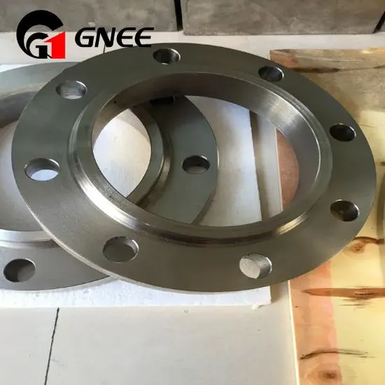 Φλάντζες Hastelloy X