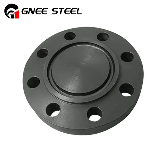 Φλάντζες αρμών τύπου δακτυλίου Super Duplex